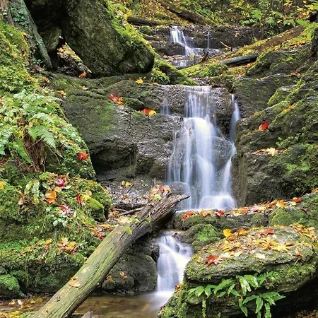 La Chouette Du Freyr 3 Vakantiehuis