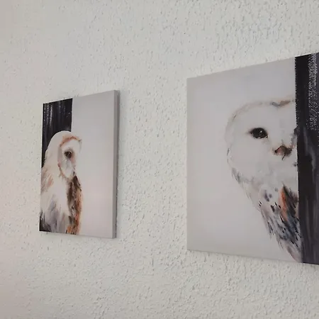 La Chouette Du Freyr 3 *